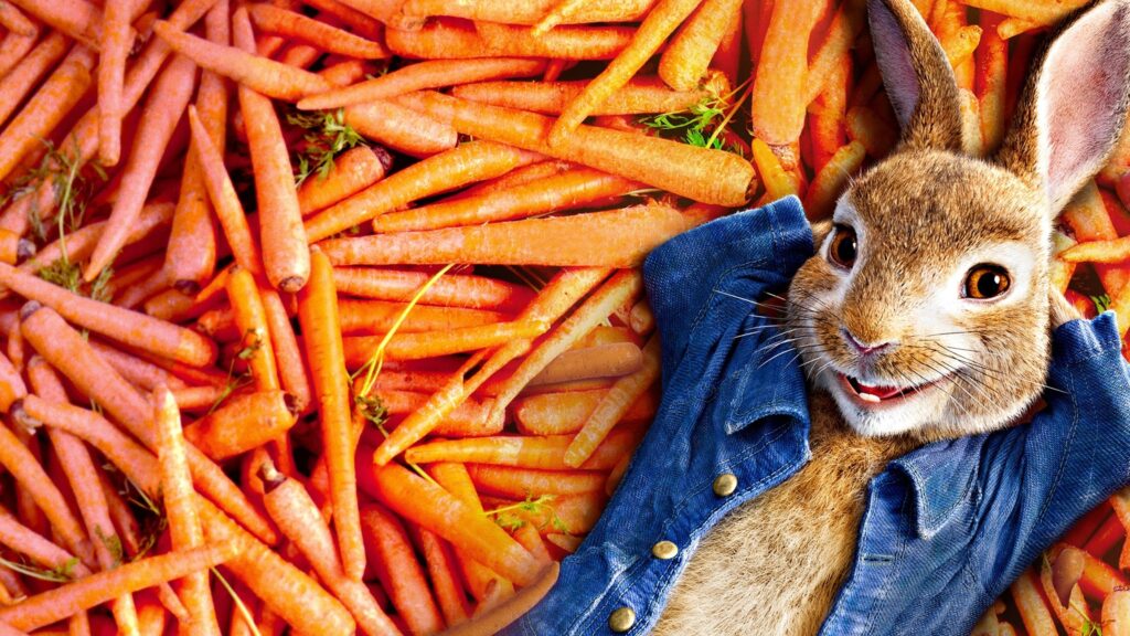 Image from the movie "Peter Rabbit"
