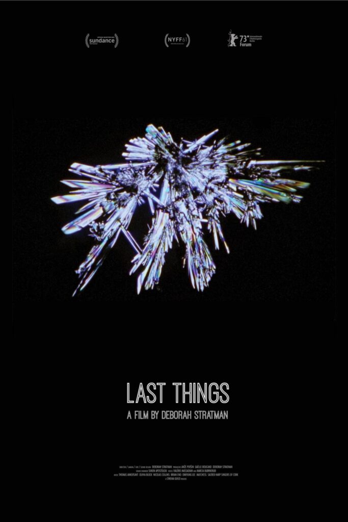 Poster for the movie "Last Things"