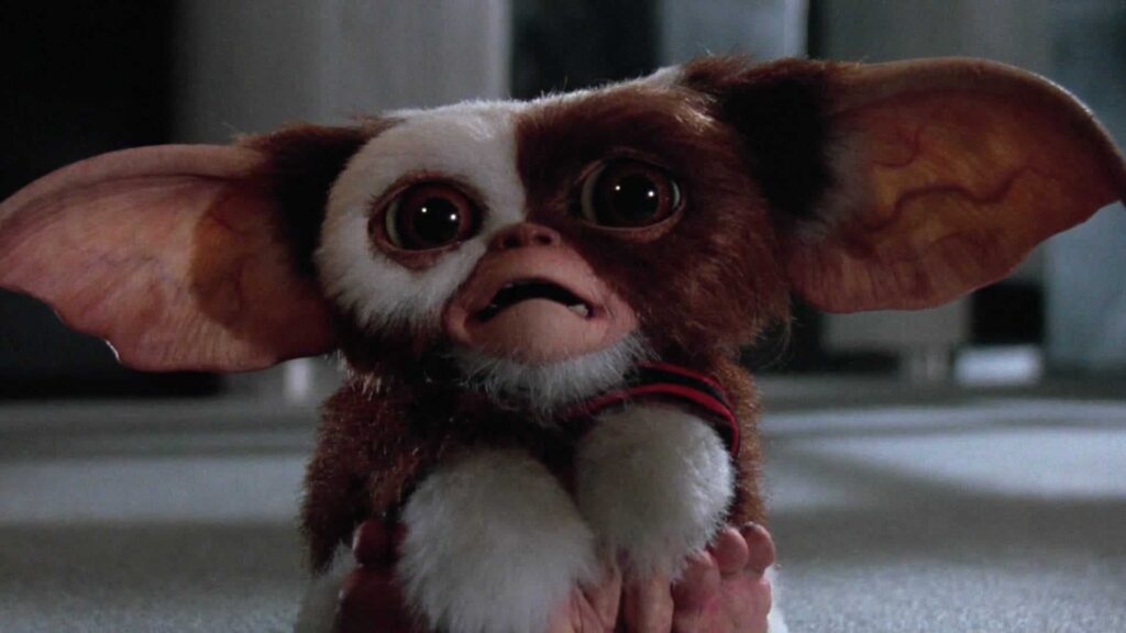 Image from the movie "Gremlins"
