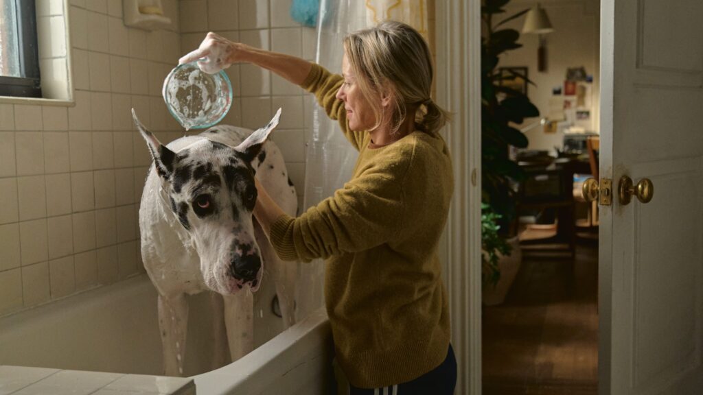 Image from the movie "The Friend"