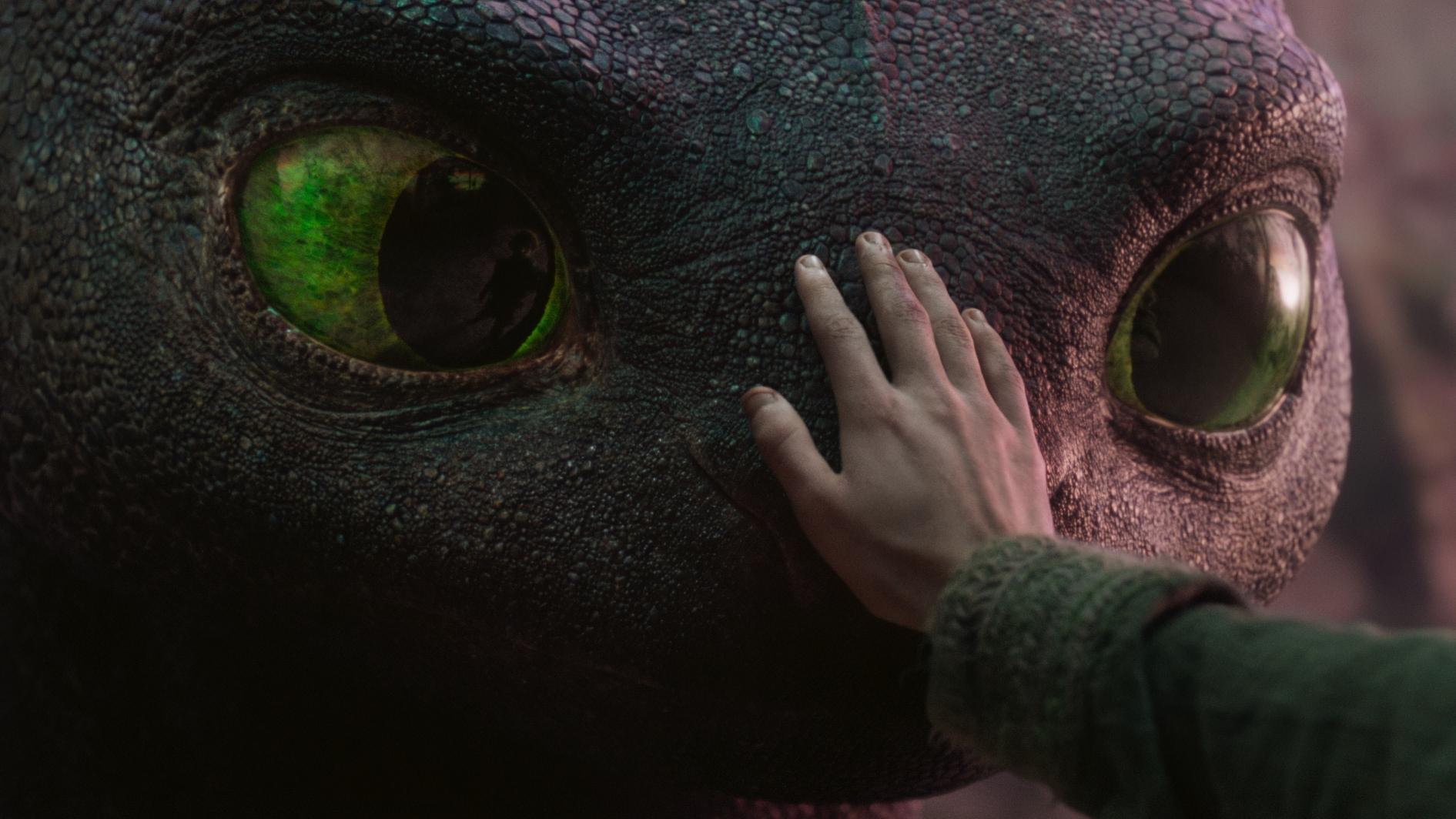 Image from the movie "How to Train Your Dragon"