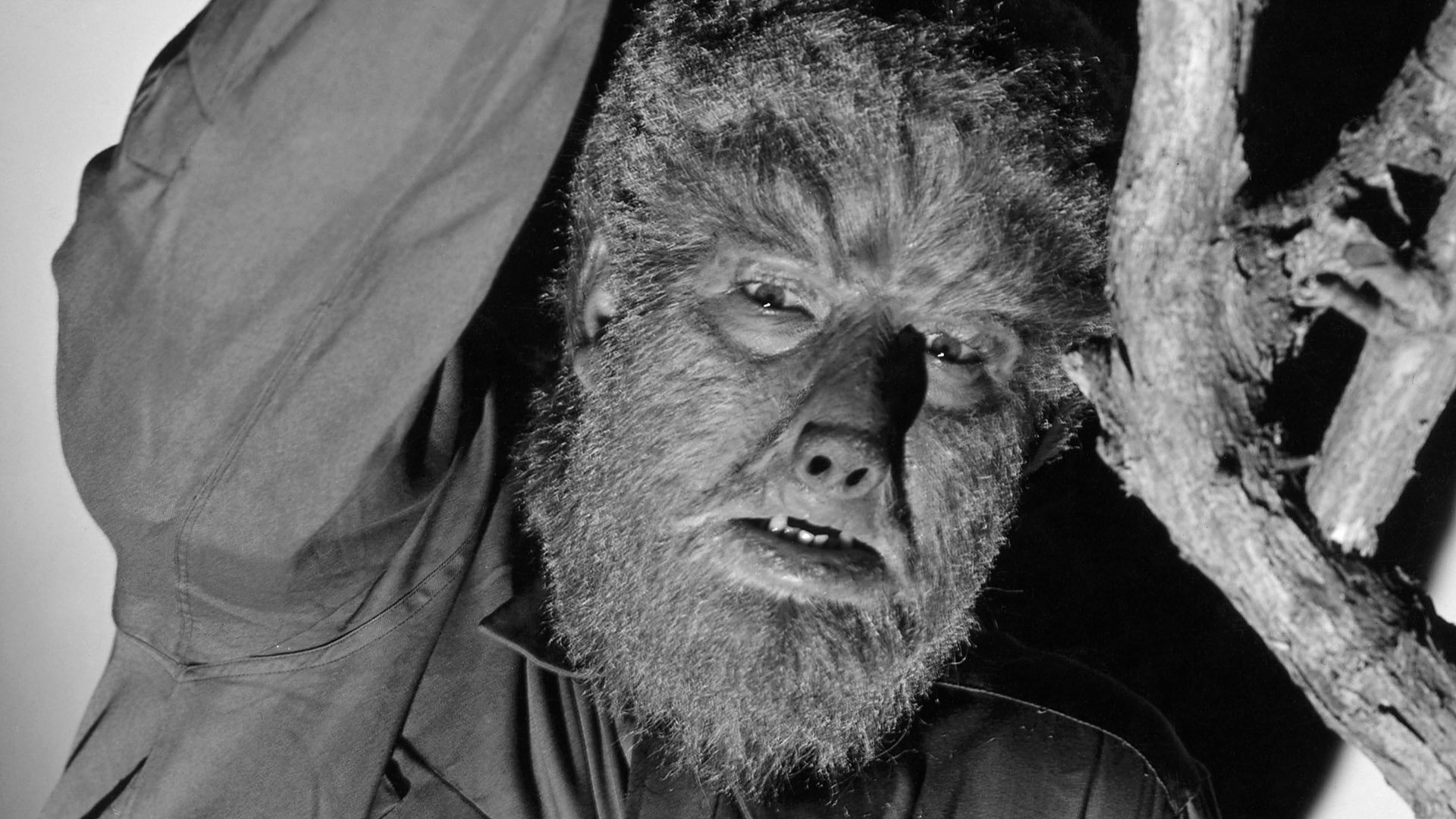 Image from the movie "The Wolf Man"