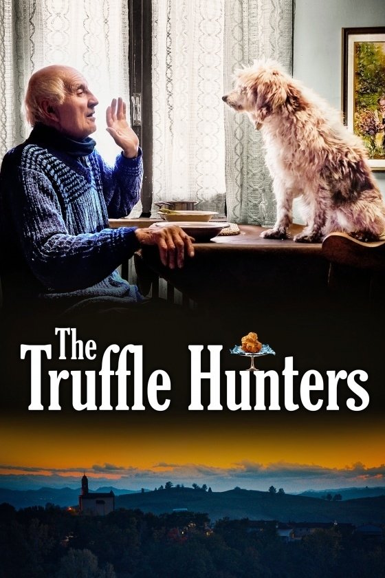 Poster for the movie "The Truffle Hunters"